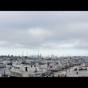 Meet your Posher, Emmie